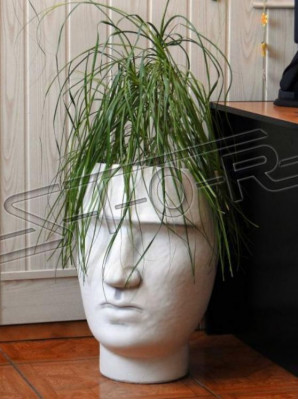Design flowerpot top planter container decorative vessel figure pots face sculpture
