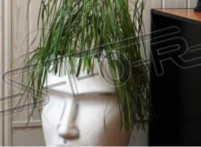 Design Flower Pot Top Plant Container Vessel Deco Figure Pot Face Sculpture