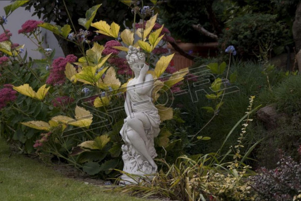 Eva Sculpture Design Figure Statue Garden Figures Statues Sculptures