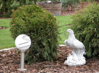 Figure Eagle Garden Statue Sculpture Sculptures Figures Statues Decoration