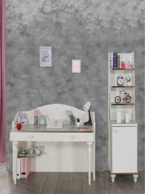 Bookcase Desk Teen Room Furniture Shelves in Children's Room 2-Piece Set