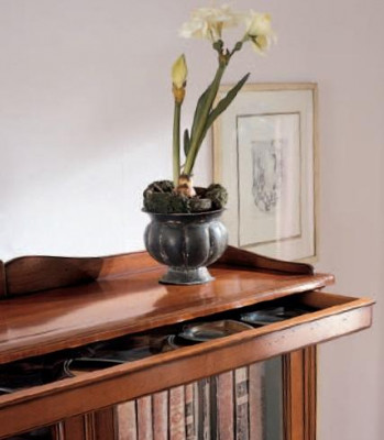 Bookshelf Display Cabinet Display Case Classical Cabinet Bookcase Wood Shelf