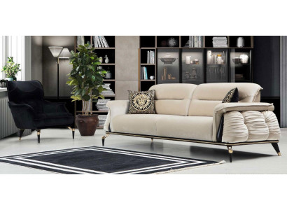 Luxury 2-piece Living Room Set, 3-Seater Sofa with Armchair, Modern Design Couch