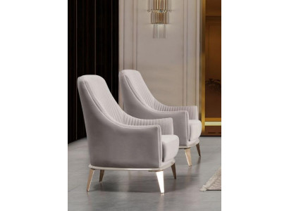 Armchair Group Wing Chair Modern Fabric Seat Polyester 2-Piece Set Gray
