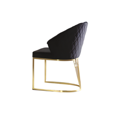 Upholstered Chair Dining Chair Wooden Chair Kitchen Chair Black Modern Gold