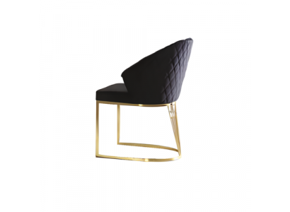 Upholstered Chair Dining Chair Wooden Chair Kitchen Chair Black Modern Gold