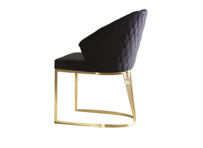 Upholstered Chair Dining Chair Wooden Chair Kitchen Chair Black Modern Gold