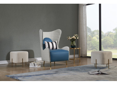 Armchair, club chair, lounge chair, cocktail chair, armchair, sofa, couches, TV, new.