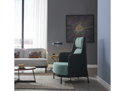 Chair club chair lounge chair cocktail chair armchair sofa couches TV new