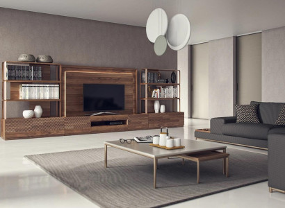 Living room furniture set 4-piece TV stand 2x bookshelves wood furniture TV frame complete