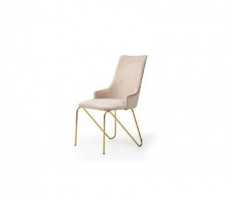 Luxurious chair in universal white color for modern dining room