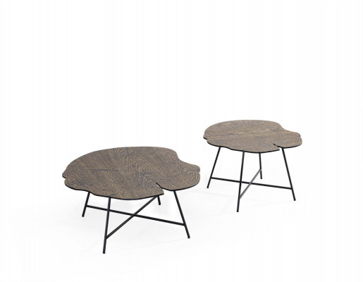 Set of two luxurious coffee tables for the living room in a modern style