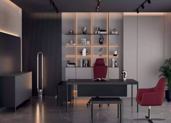 Long sideboard office cabinet highboard office furniture closet office design