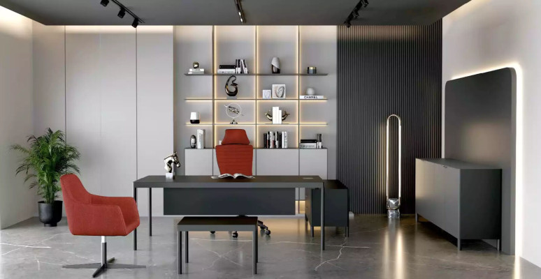 Long sideboard office cabinet highboard office furniture closet office design
