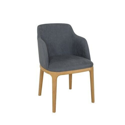 Chair, armchair, upholstery, chairs, lounge, solid wood, textile, wood, armchair, leather, new