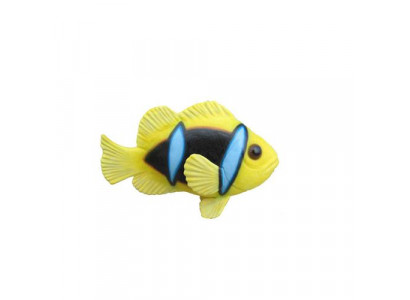 Anemone fish ocean exotic fish stand aquarium zoo sculpture statues