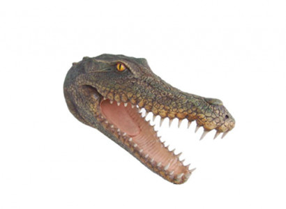 Sculpture Crocodile Wall reptiles sculptures figures statues sculpture statue 80cm