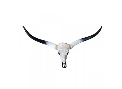 Bull Cow Skull Decoration Not Real 100cm Wall Design Water Buffalo Skull