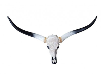 Bull Cow Skull Decoration Not Real 100cm Wall Design Water Buffalo Skull