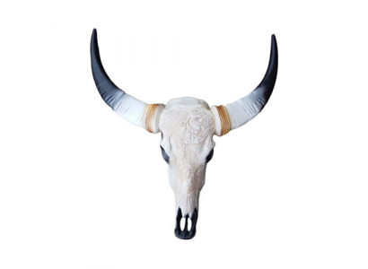 Bull Cattle Skull Decoration Not Real 69cm Wall Design Decor Wall Skull