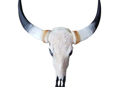 Bull Cattle Skull Decoration Not Real 69cm Wall Design Decor Wall Skull