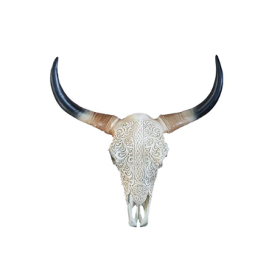 Bull cattle skull decoration not real 65 cm wall design water buffalo skull