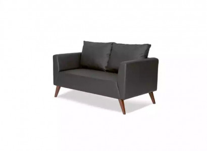 Stylish Two-Seater Modern Black Couch Study Room Furniture Office