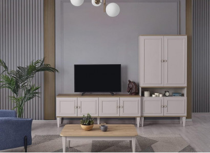 TV stand cabinet unit RTV lowboard living room shelves gray wood