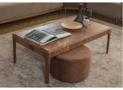 Stylish Coffee Table Brown Rectangular Living Room Wooden Coffee Table