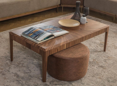 Stylish Coffee Table Brown Rectangular Living Room Wooden Coffee Table