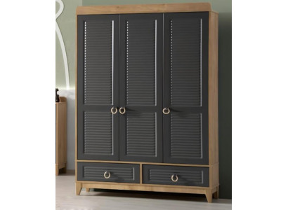 Wardrobe Grey Wood Cabinet Design Children's Room Wardrobes