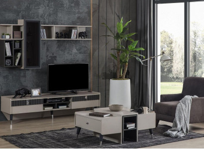Living room set designer RTV stand luxury wood shelves coffee table 3-piece set
