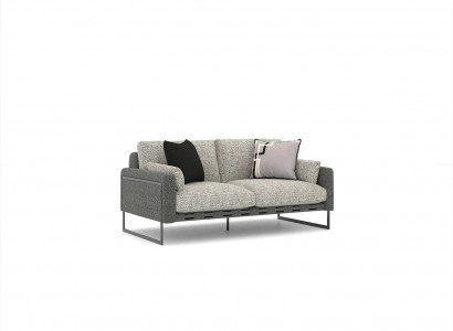 Two-seater sofa upholstery fabric gray upholstered furniture living room furnishings