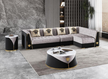 Gray living room sofa set corner sofa coffee table side table stainless steel