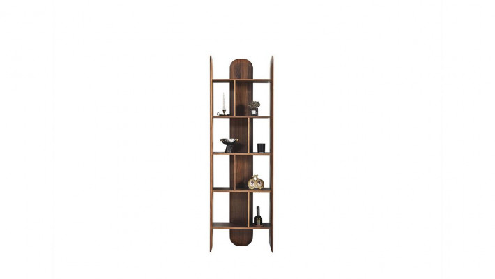 Design bookshelves, living room cabinets, wood, brown color, new shelves