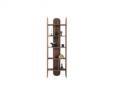 Design bookshelves, living room cabinets, wood, brown color, new shelves