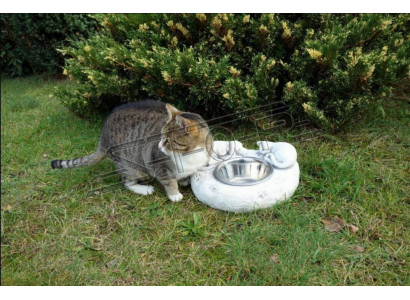 Water drinking fountain cat bowl container customer drinking vessel