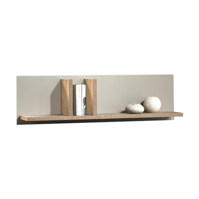 Classic living room wall unit cabinet system living room cabinet shelves shelving system CM-P2