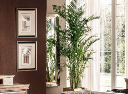 Classic wall mirror, wooden frame mirror, furniture, baroque rococo, glass frame, wall.