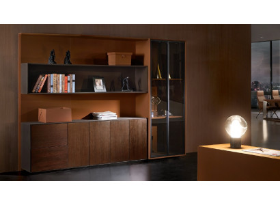 Books, files, cabinet, shelf, wall, office, practice, company, office, furniture