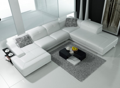 Sectional L-shaped designer sofa couch upholstery seating set leather living landscape.