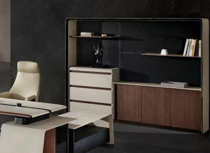 Filing cabinet bookshelf shelves decor cabinet luxury office furniture cabinets