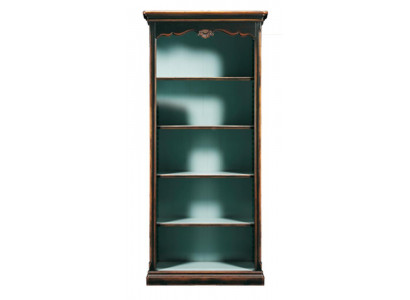 Regal Cabinet Bookshelf for Office Bookcase Brown Tall Cabinet Solid Wood New
