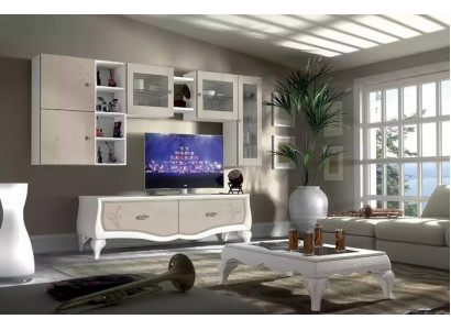 Wall unit living room luxury set display cabinet lowboard wall shelf TV 5 pcs. New