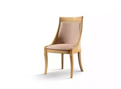 Dining room chair, luxury fabric, solid wood design chairs, classic upholstery