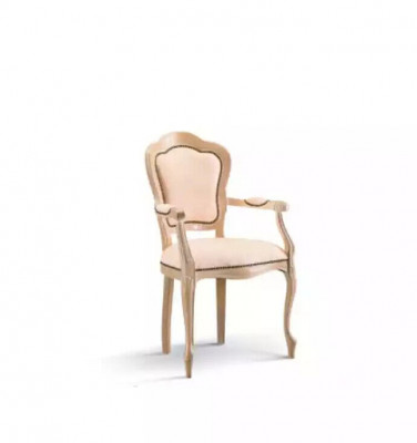 Dining room chair wood luxury armchair chairs living room furniture reclining chair new