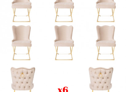 Design 6x Chairs Group Set Dining Room Chair Suite Armchair Bistro