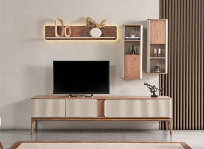 A stylish TV cabinet for your living room in a modern style