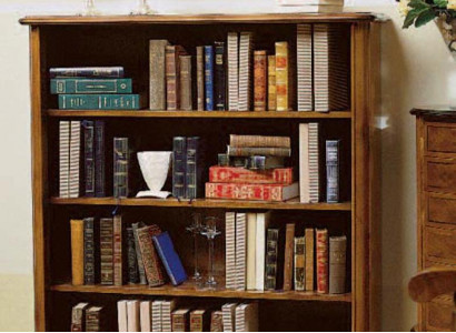 Living room display cabinet bookshelf sideboard classic furniture wood shelves