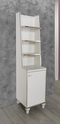 Bookshelf, bookcase, wooden shelf, shelf, cabinet, wood furniture, shelves, new